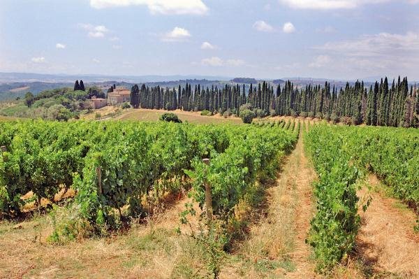 Chianti streek